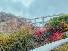 -仙岳公园