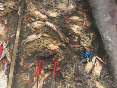 -半岛听涛蒸汽海鲜自助(K11店)