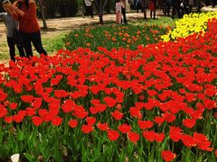 -石家庄市植物园