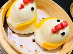 -新草堂锅物料理(泉城路店)