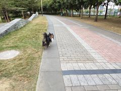 -飞来湖湿地公园