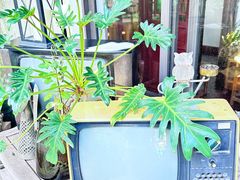 -水岸居湖景农家乐·阳澄湖大闸蟹