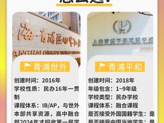 -菠萝国际教育专注Alevel·IGCSE·IB·AP·托福雅思培训辅导(静安校区)