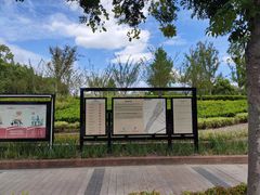 -上海山野camping·户外天幕烧烤·团建拓展营地