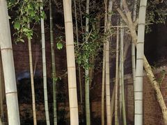 -故乡缘·香格里拉山庄(冷竹路店)