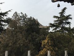 景点-洛阳白马寺