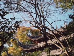 -天一阁博物院