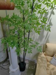 -变美丽半永久纹眉连锁·机器野生眉•洗眉