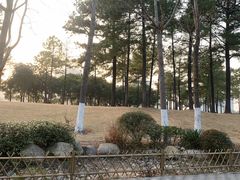 -美兰湖景区
