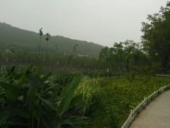 android_upload_pic-云龙山庄