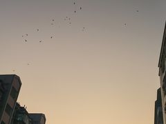 -莲塘味宝园牛杂(天越翔园店)