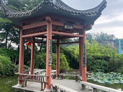 -广州神农草堂中医药博物馆