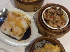 -食为先(Shark Fin)