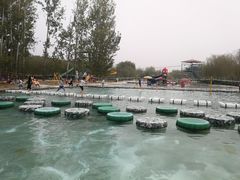 -东方巨龟苑景区