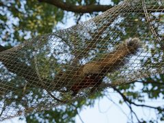 -苏州太湖西山岛开心农场