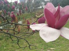 -艾溪湖湿地公园