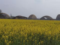 -中国天府农业博览园