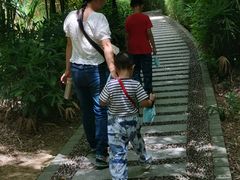 -大屏嶂森林公园