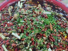来凤鱼-东吴霸王兔(松青路店)