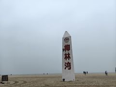 -东郊椰林