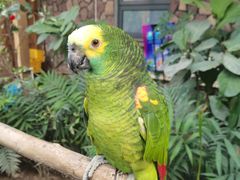 -南宫五洲植物乐园