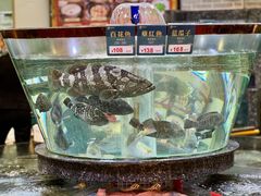 -德胜轩正宗顺德菜(宝安沙井会展中心店)