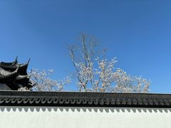 -苏州上方山国家森林公园
