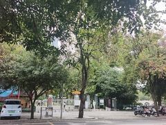 -柳侯公园