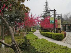 -西安汉城湖景区