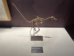 -浙江自然博物院(杭州馆)