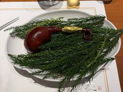 -觀芷隐轩