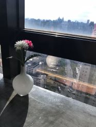 -V-STAR威斯达•高级私人定制
