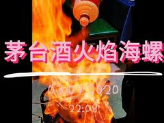 茅台炭烧响螺-金龙·打边炉(武进路店)