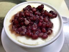 红豆双皮奶冻-义顺牛奶公司(新马路老店)
