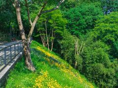 -西湖风景区-江洋畈生态公园