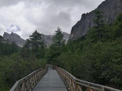 -稻城亚丁景区-冲古草甸