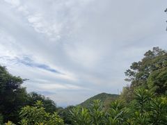 -广州市帽峰山景区