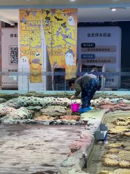 -钓虾工场·钓虾·赶海(回龙观店)