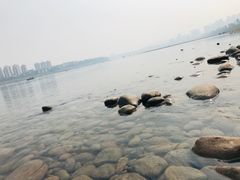 -张坝桂圆林公园