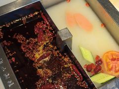 -二荆条·蜀鲜汇城市森林火锅