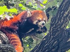 -大连森林动物园