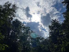 -峡谷浮石林景区