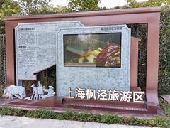 -金山农民画村-枫泾波兰倒置屋