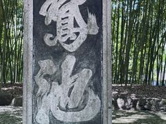 -兰亭风景区