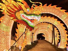-欢乐海岸椰林沙滩-2025湾区超级灯会