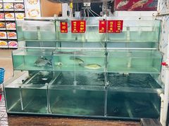 -洞密园美食城(富华路店)