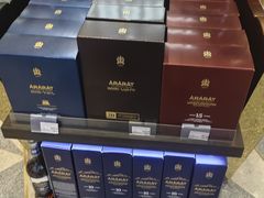 -谢列梅捷沃国际机场