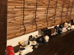 -金龙咖喱