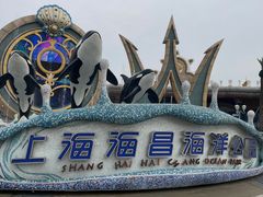 -上海海昌海洋公园