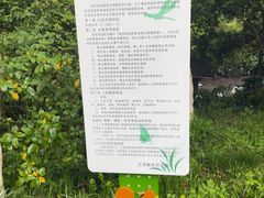 -西湖风景区-江洋畈生态公园
